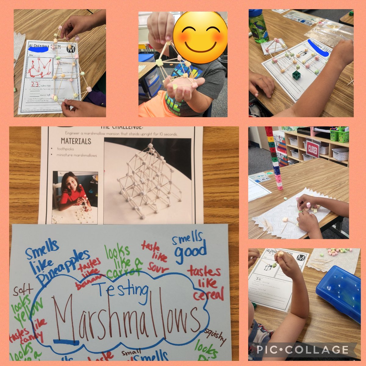 Mayra Acosta tweet media