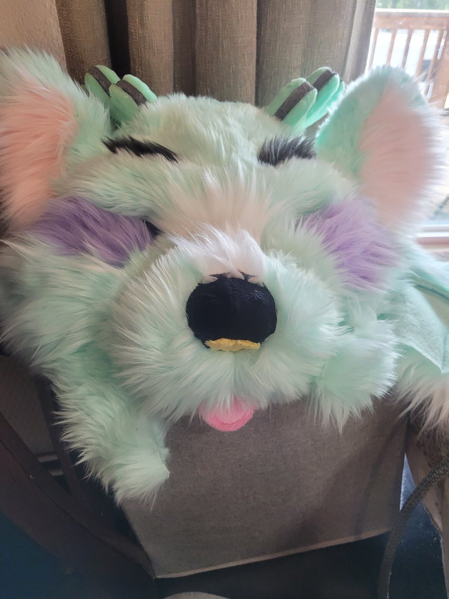 arms_birds's tweet photo. A fluffy boi in need of a shave!

#fursuitfriday #fursuitmaker #fursuit #furry #deerfox https://t.co/a3R5kMTzE0