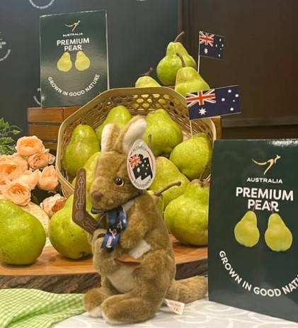 IndonesiaAust's tweet image. &quot;Market knowledge key to building on Australia&apos;s Goulburn Valley&apos;s pear exports to Indonesia&quot; - Geoffrey Gold on the new Australian #Pear Promotion Campaign under the brand &apos;Grown in Good Nature&apos; just launched to fresh fruit retailers in Jakarta | indonesia-australia.com/2022/09/market…