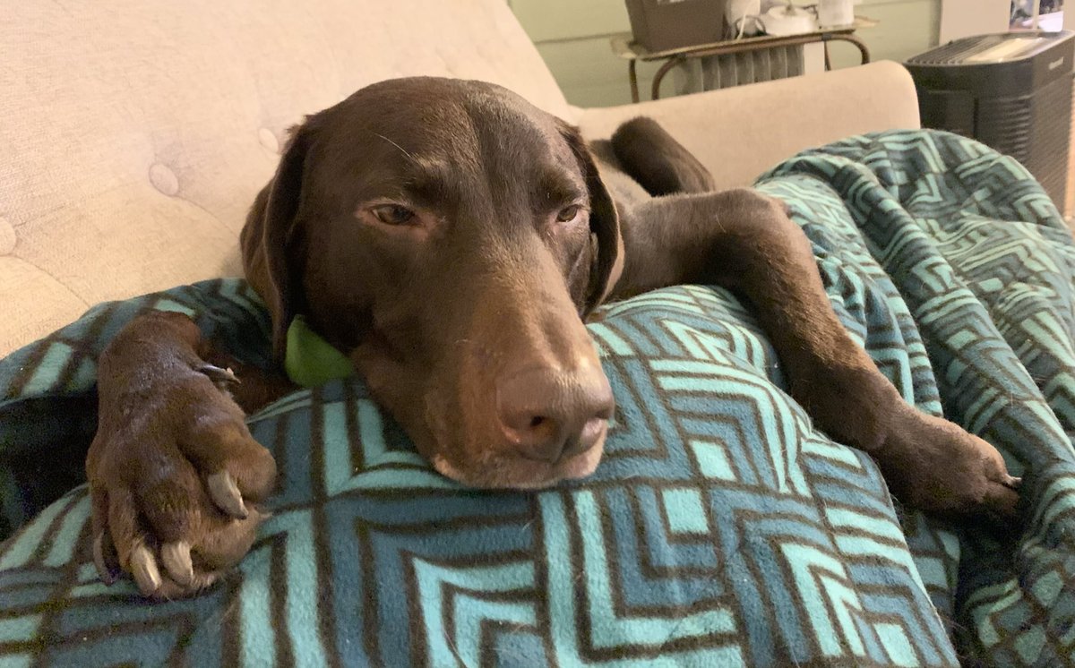 Morris Moon tweet media