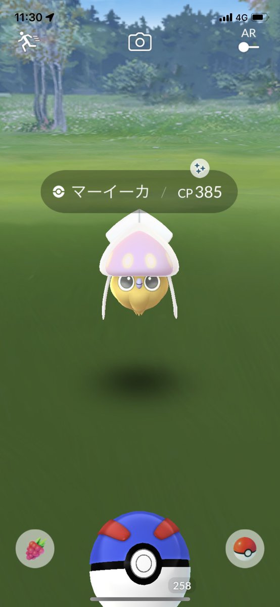 tunokey's tweet photo. 4匹目で出ました
#ポケモンgo #マーイーカ https://t.co/FH0AnbPUmc