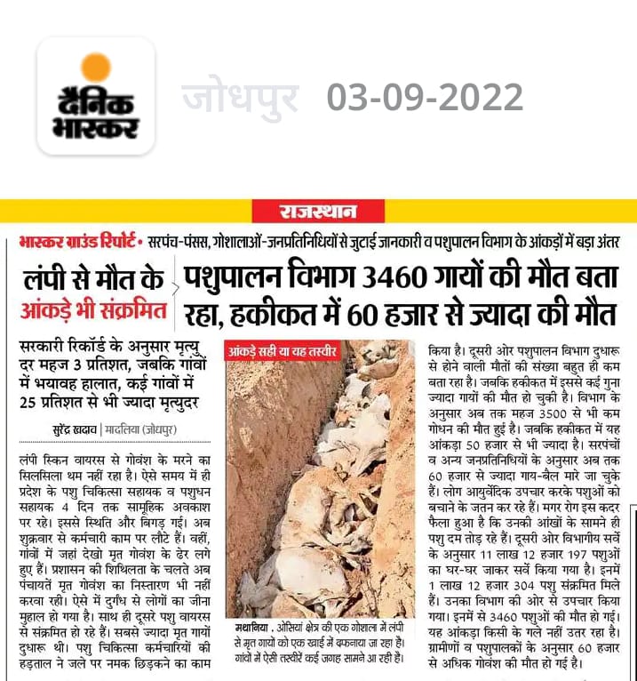 राजस्थान सरकार लंपी के आंकड़े कितने ही छुपा ले पर हकीकत से मुंह नही फेर सकती बिना बिना उपचार के पशु काल का ग्रास बन रहे हैं फिर भी सरकार अपनी जिम्मेदारी से मुंह फेर के बैठी है और #900पशुचिकित्साधिकारी भर्ती को पूरा नहीं करवा रही है <a href="/RajCMO/">CMO Rajasthan</a> <a href="/KatariaLalchand/">Lalchand Kataria</a> <a href="/1stIndiaNews/">First India News</a>