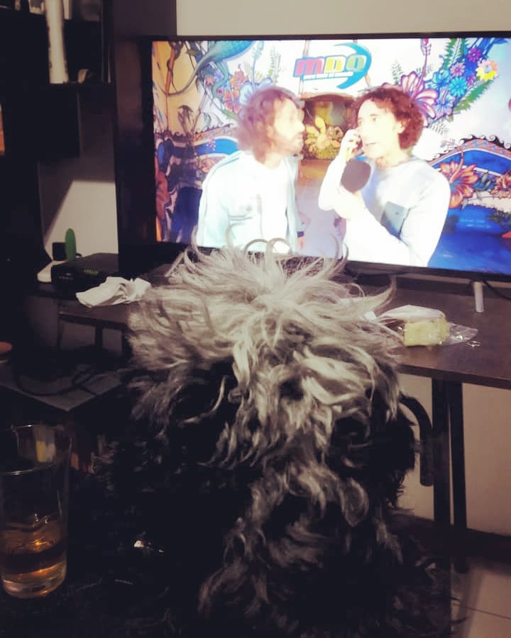tanyacnts's tweet photo. El Lolo es fan de #mdq #culini 🐶💜 https://t.co/vpVO822nza