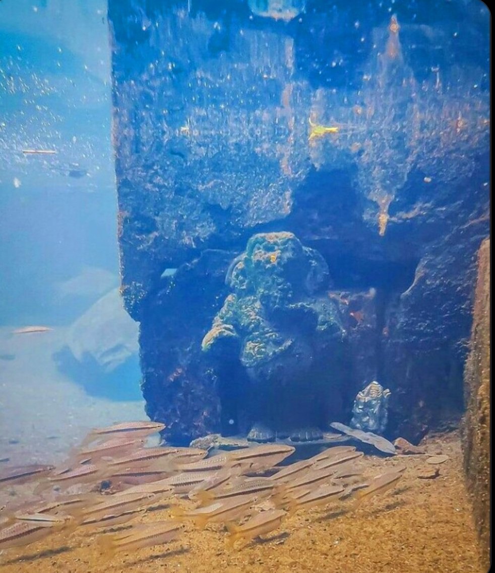 priyaginipandey's tweet photo. Idagunji Ganapati is resting under water. https://t.co/s9dhIySVQO