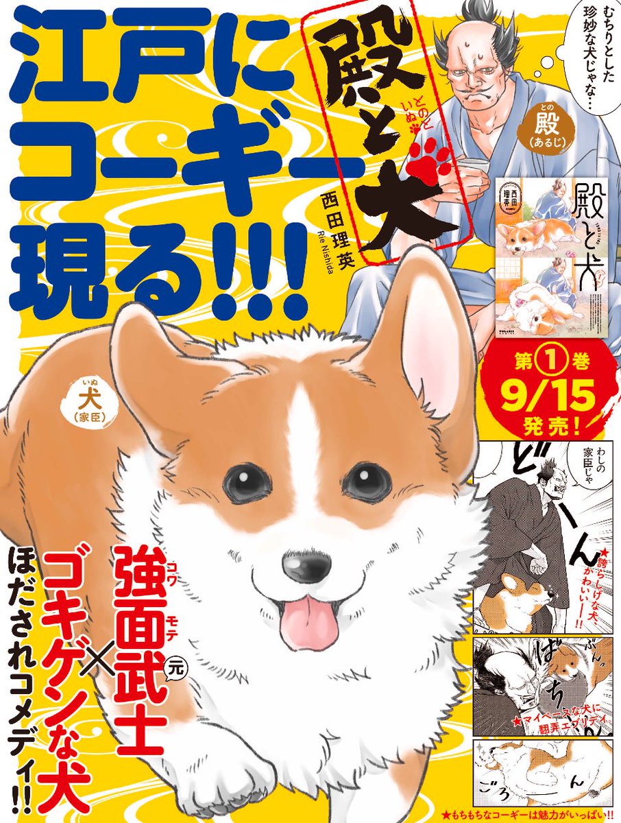 🐶9/15発売 ポラリスCOMICS🐶

自由きままでゴキゲンな【犬】と
コワモテ(本当は優しい)【武士】
そんな2人が出会ったら

「犬、やわらかっ❗️❗️」

毎日驚きや発見がいっぱいで…⁉︎

『殿と犬(とのといぬ)』第1巻
西田理英
https://t.co/UOTdg6CyIW

👉Amazon
https://t.co/JTco8imEdd 