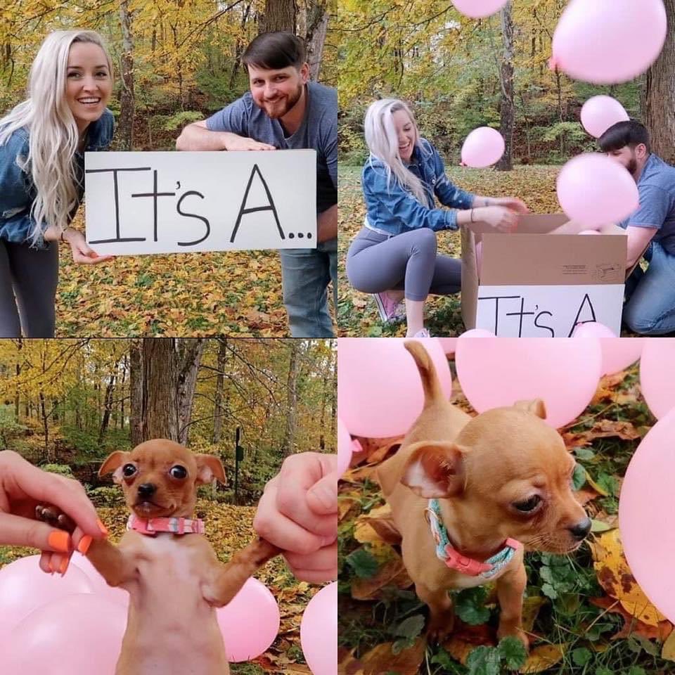 La gender reveal perfecta no exis…