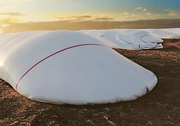 thunderstrkagAU's tweet photo. Get flexible storage with the @ProtexiaPlast grain and silage bags! #Plant22 #Harvest22 #ThunderstruckAg #Farmlife #AussieFarms #Protexia #GrainStorage #SilageStorage #SilageBags #GrainBags https://t.co/Vp5ZzERzOv