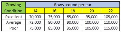 Curt Hoffbeck (@curthoffbeck) on Twitter photo We all know 🌽 kernel depth/size can have a big effect on yield estimates. Use these guides to help you determine kernel size for more accurate corn yield estimates. <a href="/PioneerSeeds/">Pioneer Seeds U.S.</a> @GranularAg We all know 🌽 kernel depth/size can have a big effect on yield estimates. Use these guides to help you determine kernel size for more accurate corn yield estimates. <a href="/PioneerSeeds/">Pioneer Seeds U.S.</a> @GranularAg