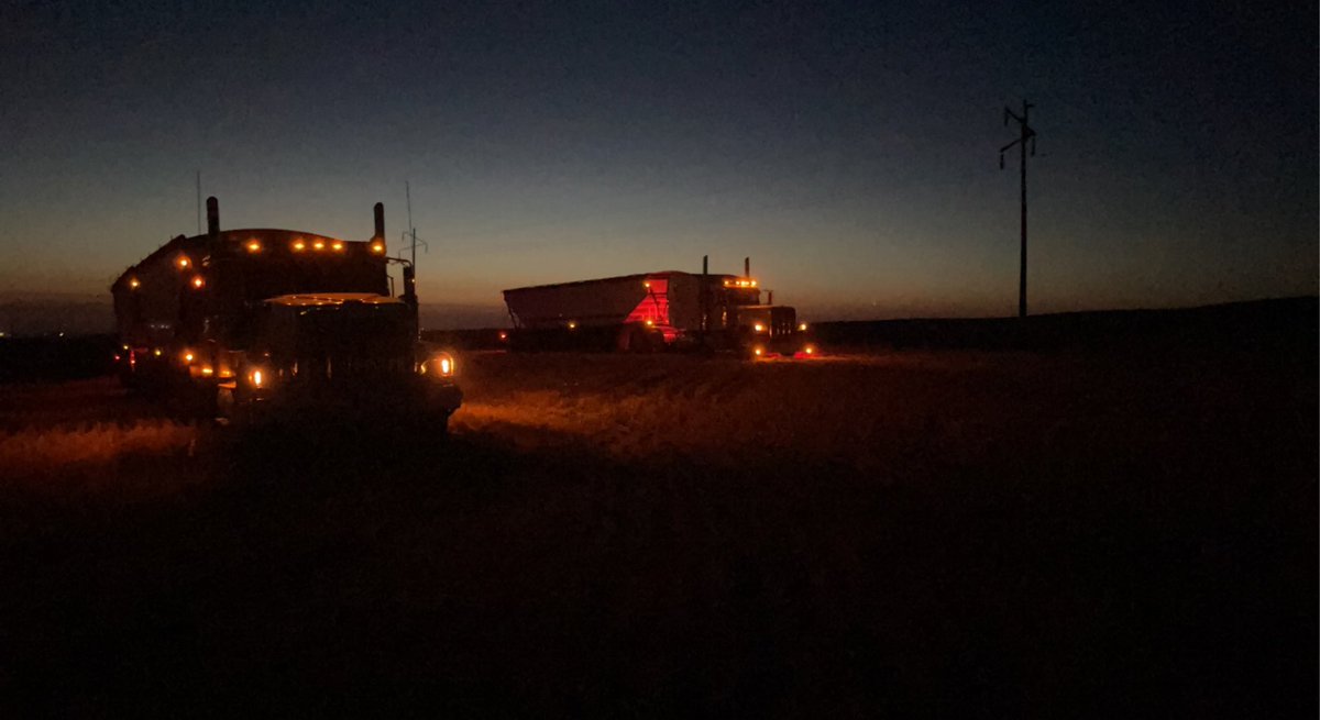 NailJayden's tweet photo. Wishing everyone a good #LabourDayWeekend. To those done harvest congrats! To those still harvesting or yet to start. A safe and healthy #Harvest22 to you and yours. Letโs see some great harvest pics from this year! #WestCdnAg #AgChat #LALFIX https://t.co/yPSzidppYV