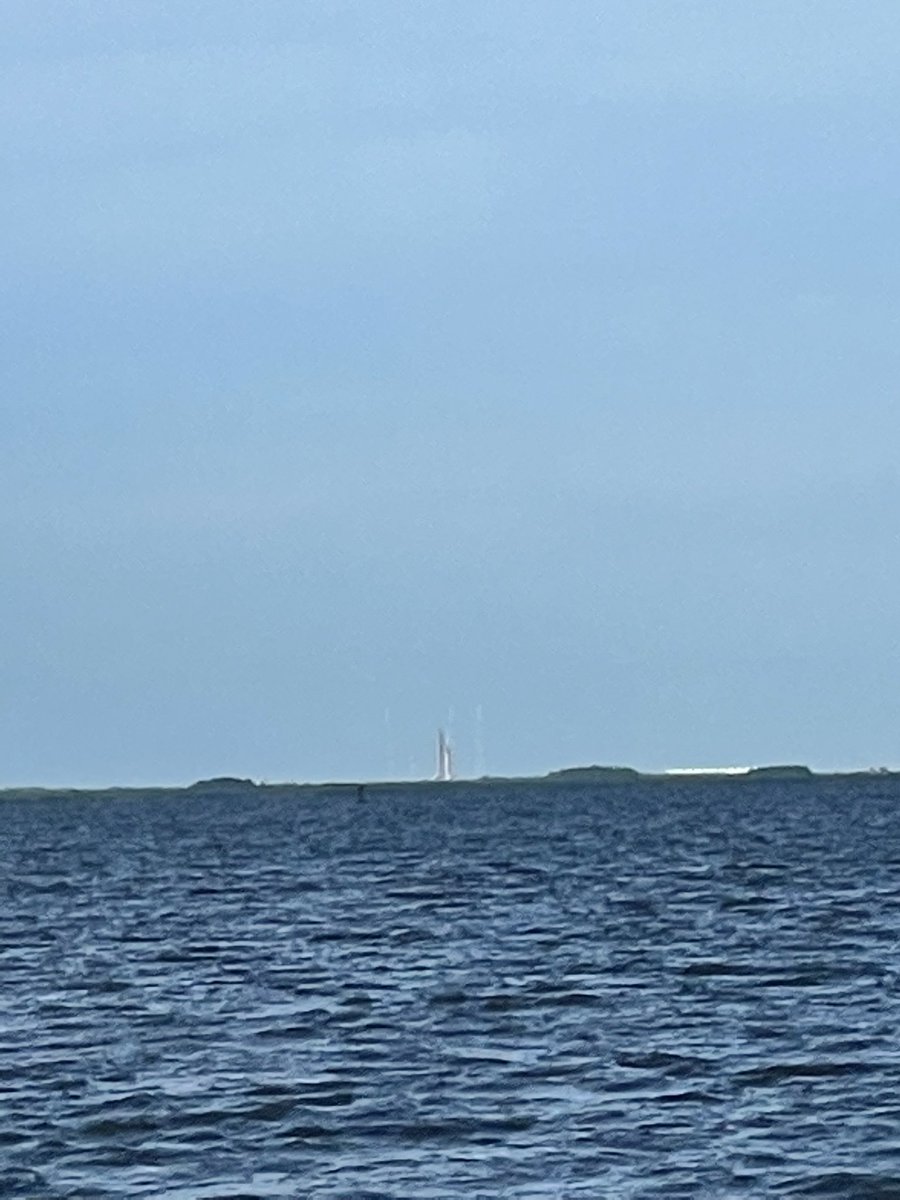 straight broccoli tweet media