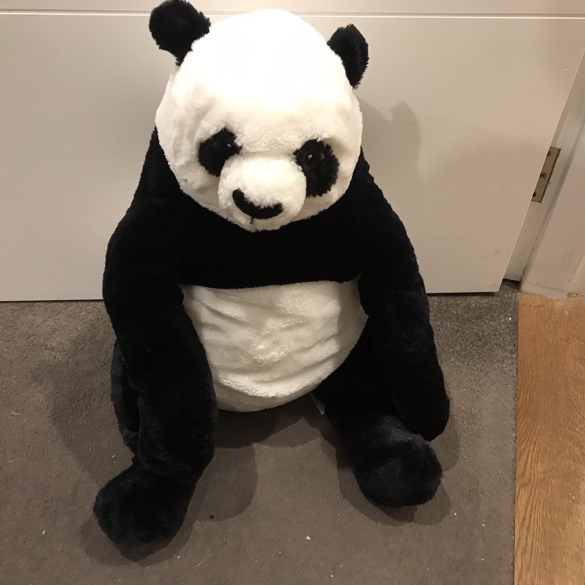 AlexPartyPanda's tweet photo. #PandaOfTheDay
Harry my best friend https://t.co/CxCpASOsF9