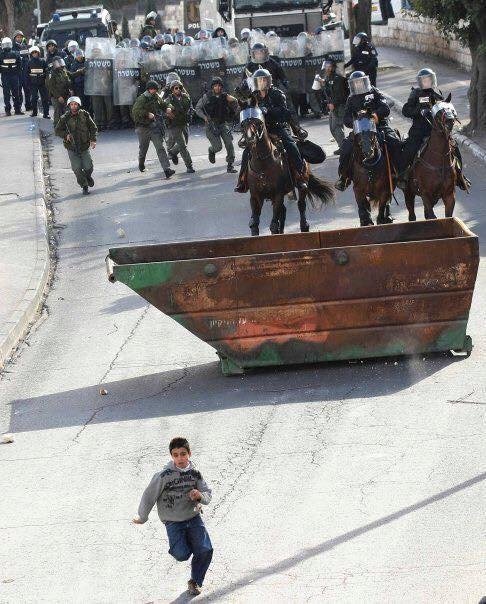 A full army chasing a young Palestinian lion.✌️