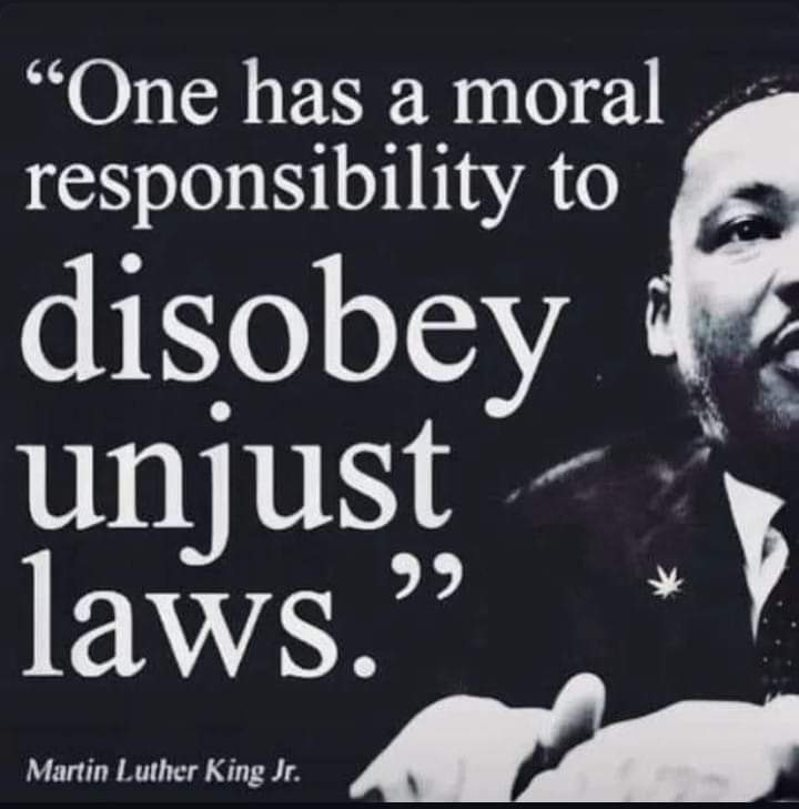 Celairefiona's tweet photo. #JusticeForNoahTruthForFiona
#WeDoNotAcceptAPII
#ReleaseTheFiles
#NoahsArmy
💙⚡💙⚡💙⚡💙⚡💙⚡💙 https://t.co/1kOnN1Lc4m