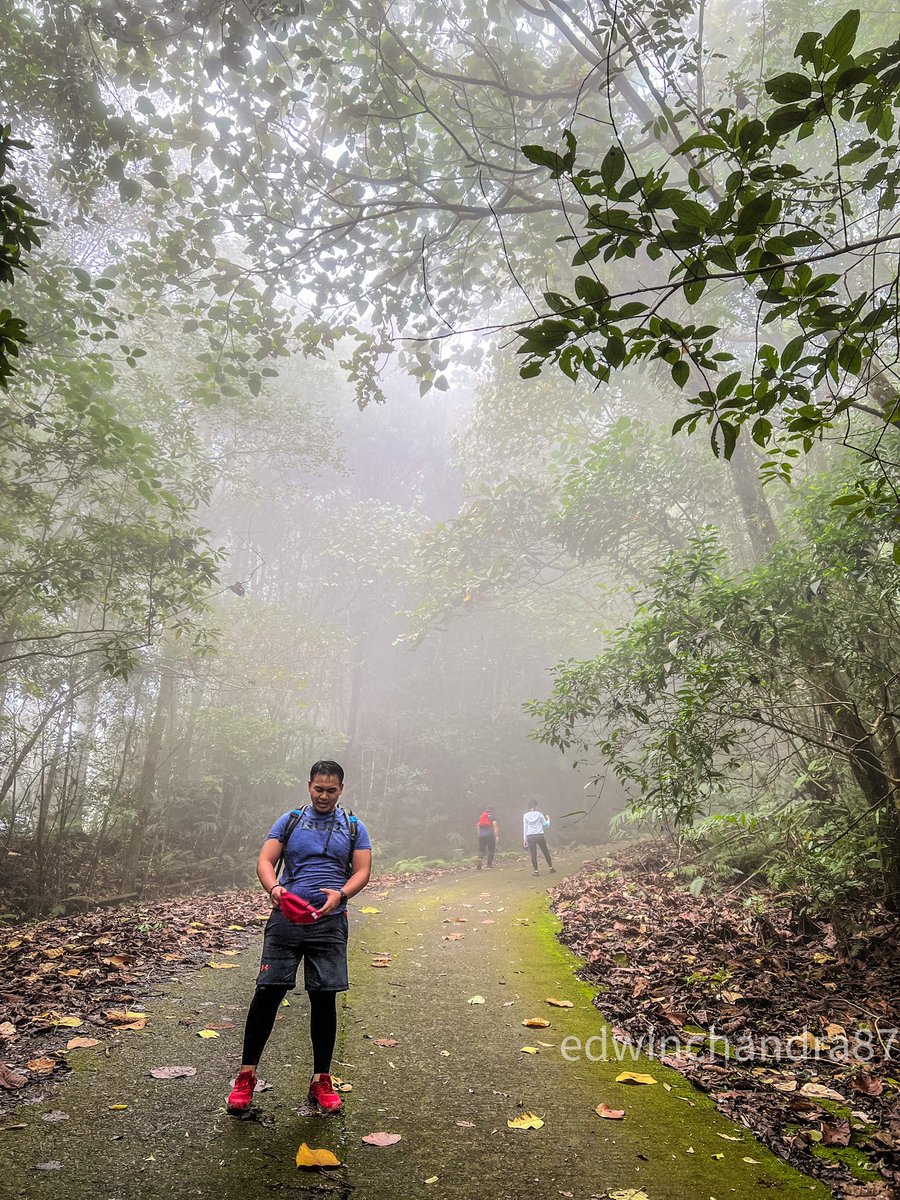 EdwinNurdjajadi's tweet photo. The misty &amp; low lying #Weathercloud at Mount #Serapi was wonderful this morning. Can’t believe my #Luck &amp; these photos looked #surreal #SaturdayThoughts #Serena #JENNIE #Sarawak #LateLate #AUSvZIM #NI_KI #gistlover #TOP100KPOPDancer https://t.co/KpkY0rW1M4
