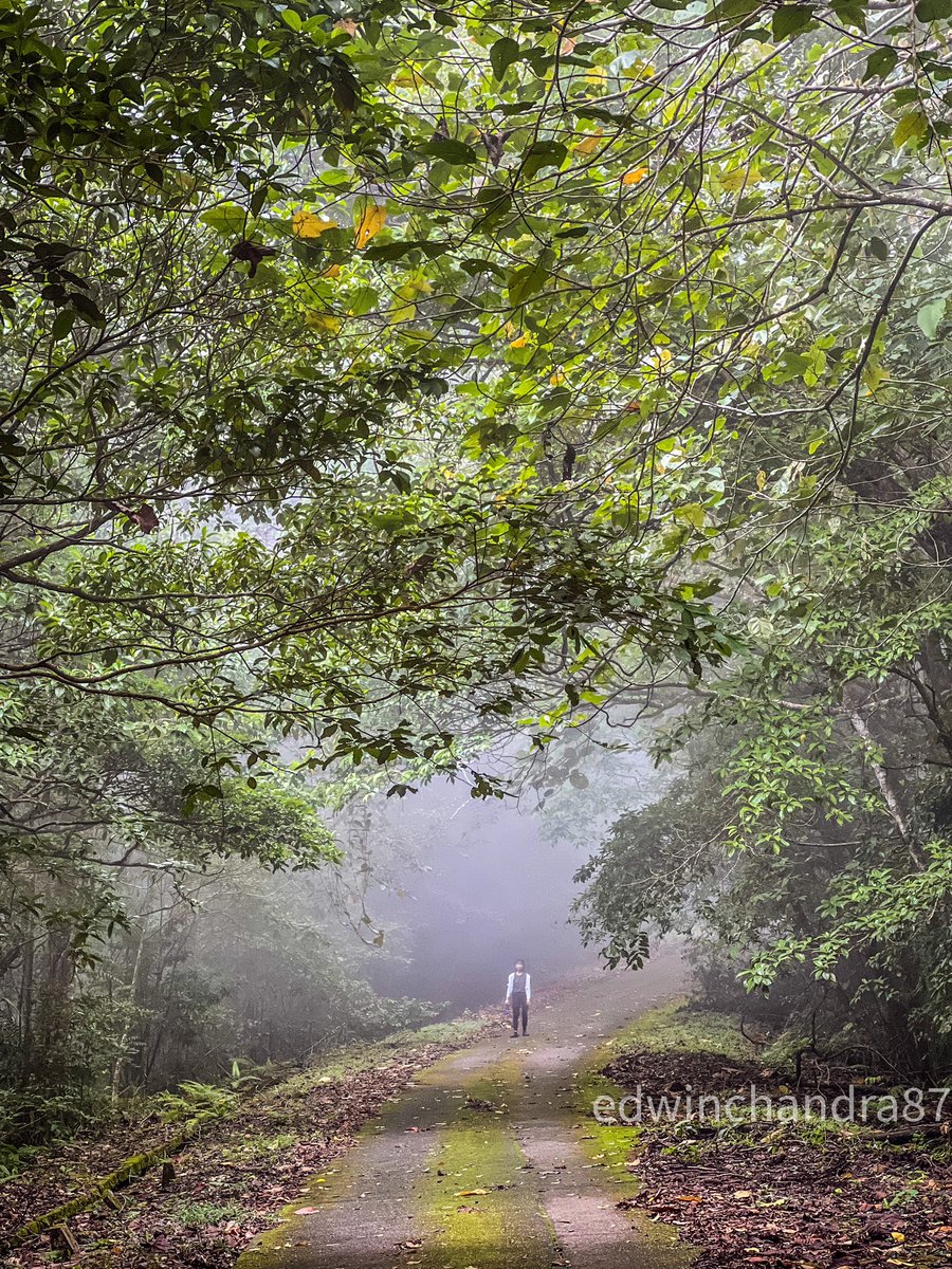 EdwinNurdjajadi's tweet photo. The misty &amp; low lying #Weathercloud at Mount #Serapi was wonderful this morning. Can’t believe my #Luck &amp; these photos looked #surreal #SaturdayThoughts #Serena #JENNIE #Sarawak #LateLate #AUSvZIM #NI_KI #gistlover #TOP100KPOPDancer https://t.co/KpkY0rW1M4
