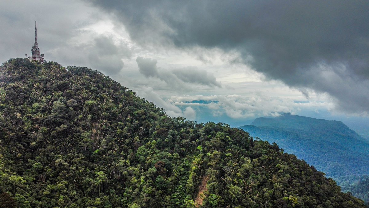 EdwinNurdjajadi's tweet photo. Took the #risk to take these #aerial shots despite strong winds &amp; heavy #Weathercloud at Mount #serapi Nope, it didn’t rain &amp; it’s a great day for #hike #hikingadventures #TheRingsOfPower #Saturdayselfie #SaturdayThoughts #Sarawak #ElvisMovie #SaturdayVibes https://t.co/vqcdzaaFli