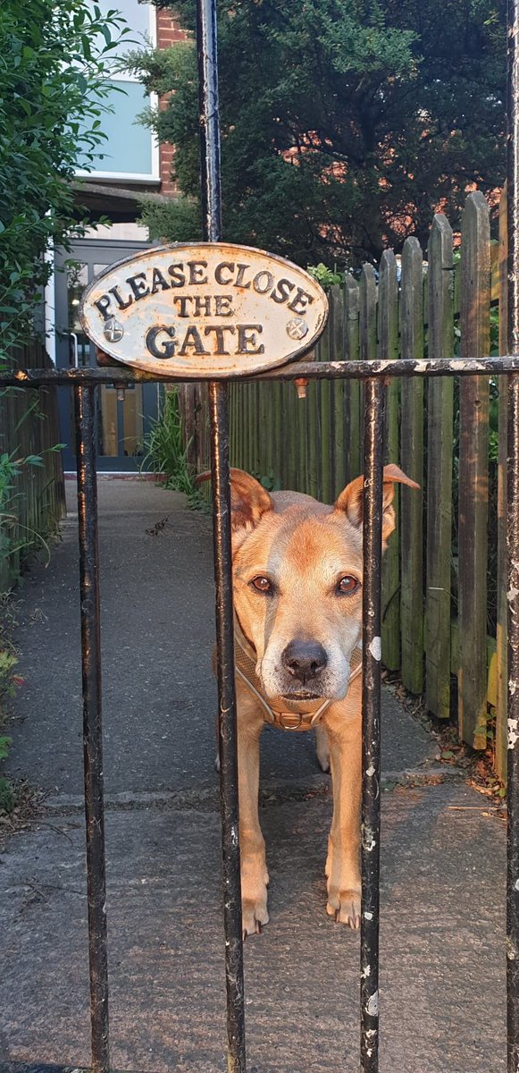 mixcloud.com/live/russell-m… visuals
circl8radio.com audio
Ten till twelve Saturday morning Northern Girl: Midlands Boy takes to the airwaves.
A duet with Woody Guthrie and much much more