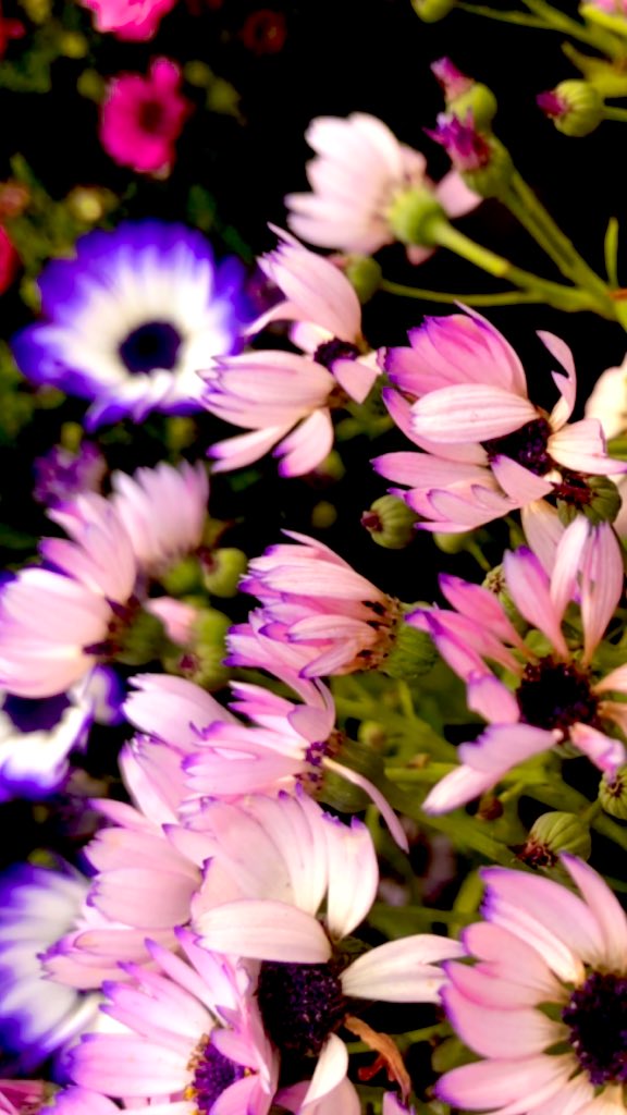 yasuhiro🌏😺 (@ky77733) on Twitter photo 