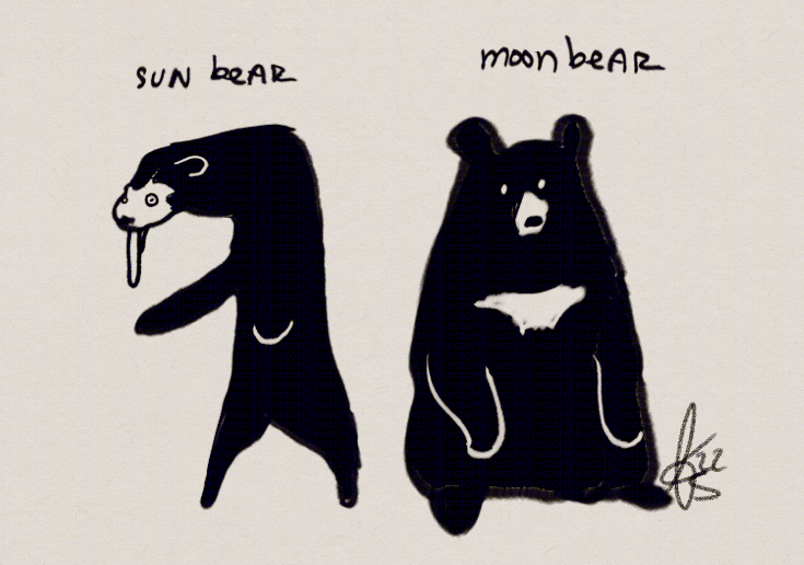 🦐 Shrimb.bsky tweet media