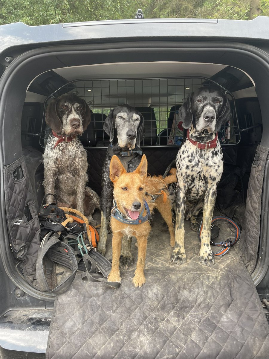 Lucy Clough tweet media