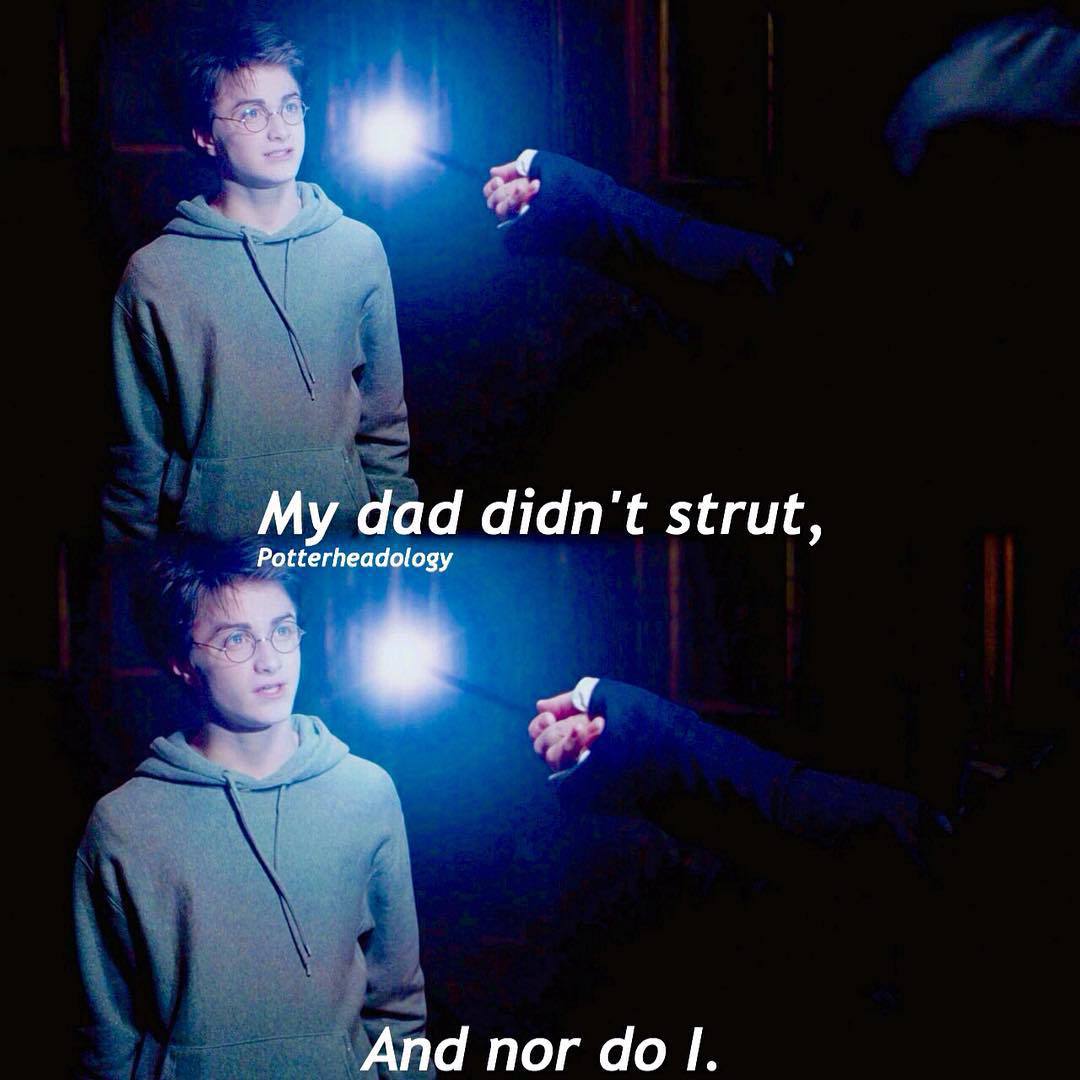 Harry Potter World on Twitter ""My dad didn't strut. And nor do I
