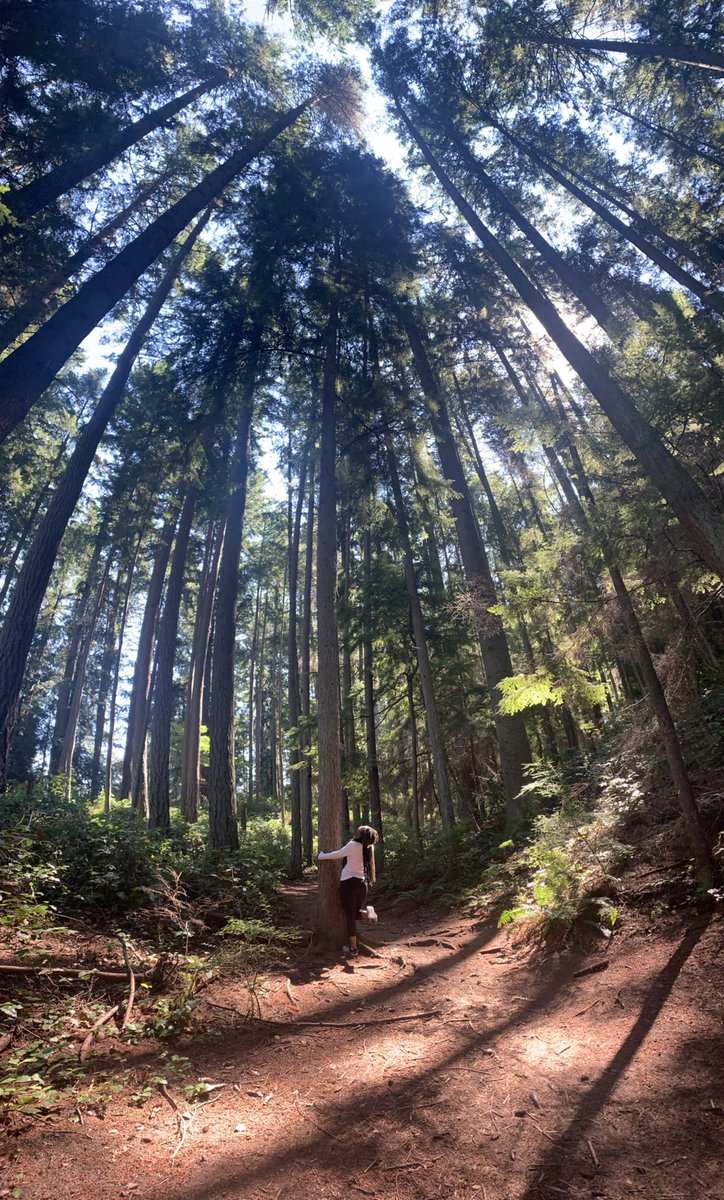 I’m always happy when I’m surrounded by nature. It reminds me how small I am in this universe and how much the world has to offer. Earth is my oasis. This is in the woods of Washington state.I feel alive, grateful, and at peace :) https://t.co/aQY8fUMA8H