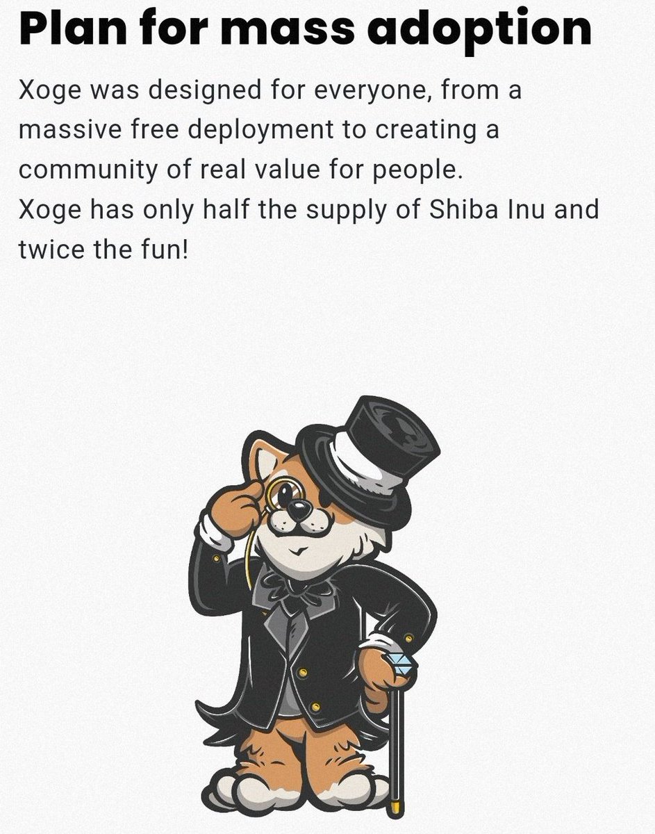 lmfao.algo and 4.8K others tweet media