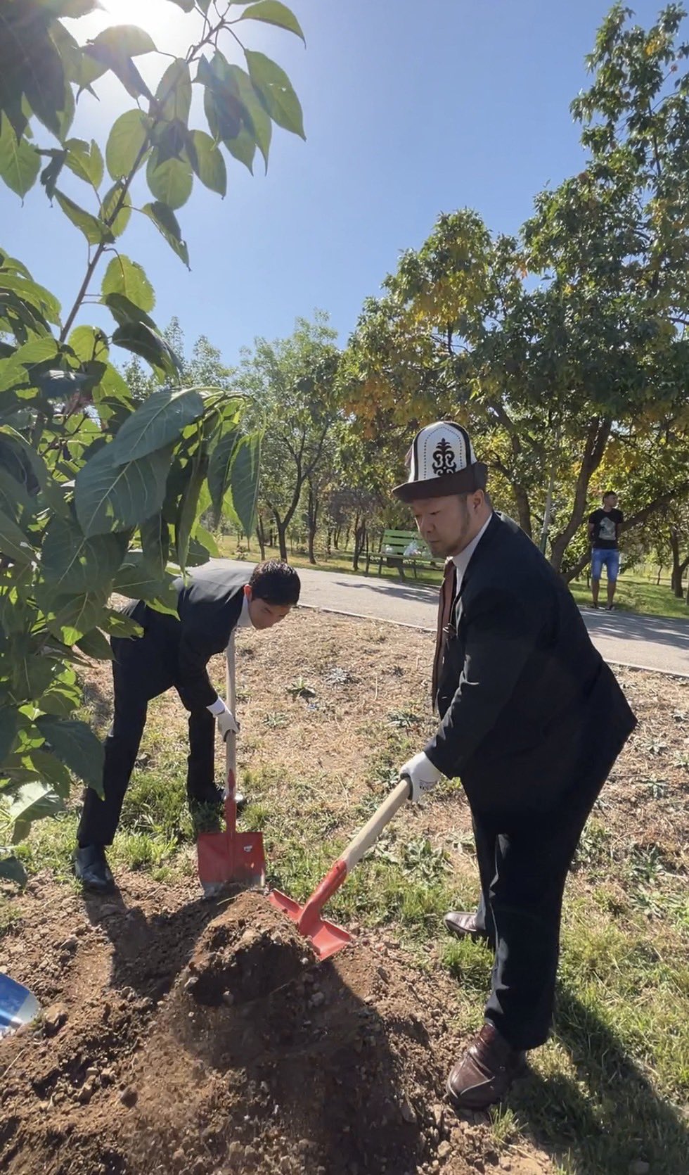 友好の証として桜を植林した件