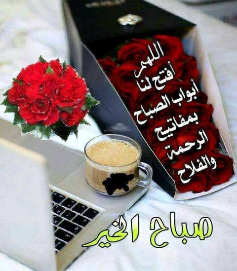 بداية يوم جديد 
بسم الله توكلنا علي الله