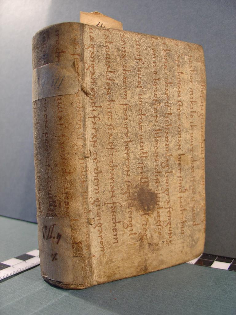 THE SAXON GOSPELS
The Heliand is an epic poem in Old Saxon written in the 9th century. The title mea...