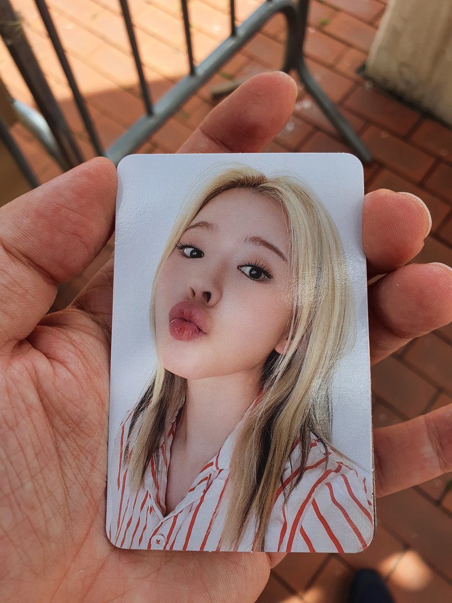 itnw0628's tweet photo. Photocard Sunny

[Trans] SONE I'll give you happiness only let's only walk on a flowery path. #SNSD https://t.co/lgtFPlswRs