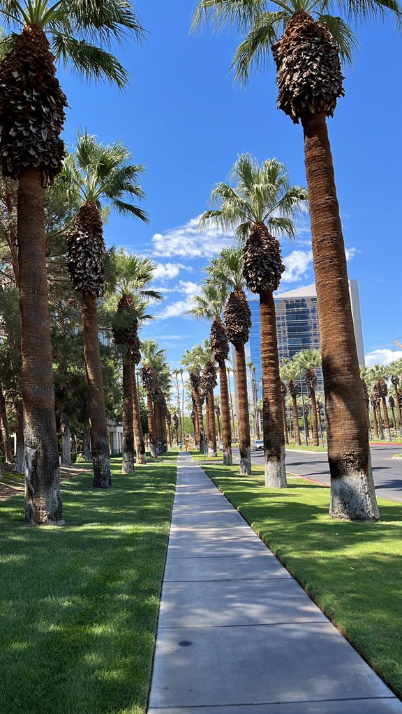 Wandering around the business section of vegas for no good reason today... looking for david copperfield to beat the devils location out of him.