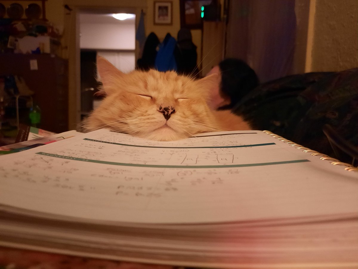CBCgalaxy4418's tweet photo. @danielhowell Cat spam :) https://t.co/VYpt8yezsm