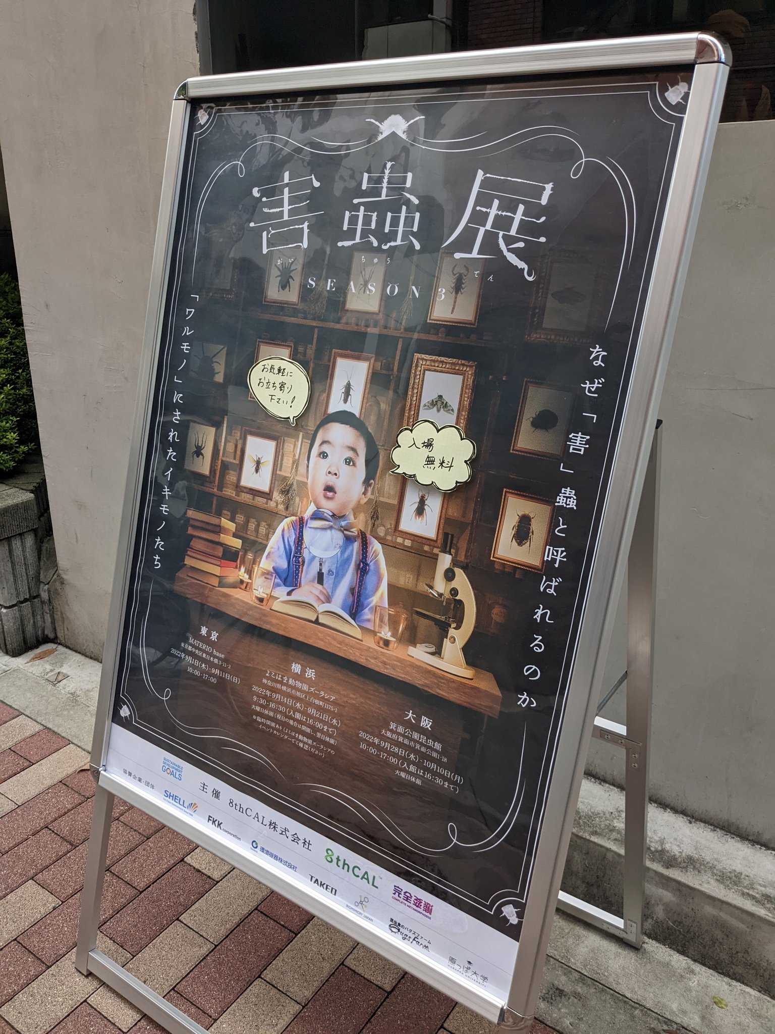 تويتر ターヨコ ル スンバラリア Rikusyutsuka