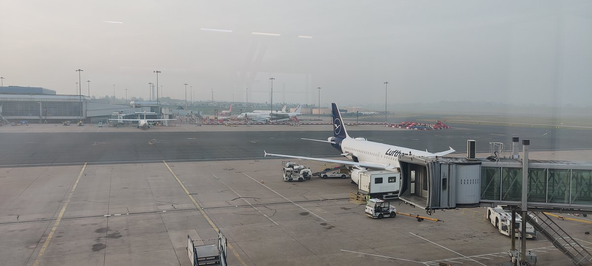 SamStrife's tweet image. 