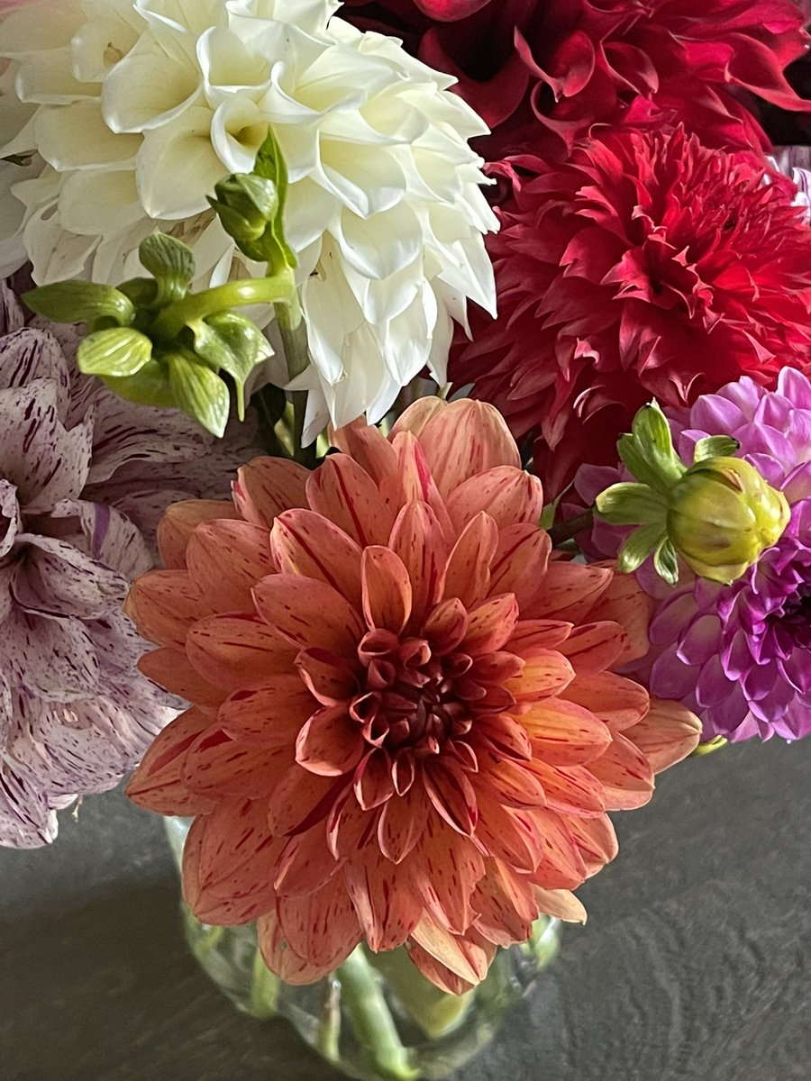 Today’s dahlia bouquet made for a friend. I love growing dahlias. 
#Dahlia #Flower #BouquetOfTheDay
#FlowersOnFriday