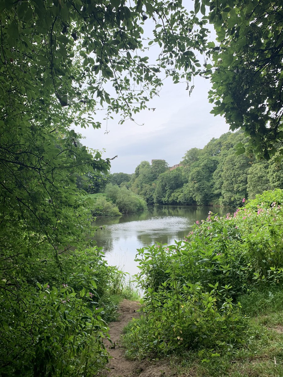 A beautiful walk to the River Clyde at Bothwell last month. I’m looking back at walks that I’ve done this summer and looking forward to convening an Autumn session @methodsMcr #MethodsCon with @StephZihms looking at Datawalking and inclusivity for #SoTL #AcademicChatter
