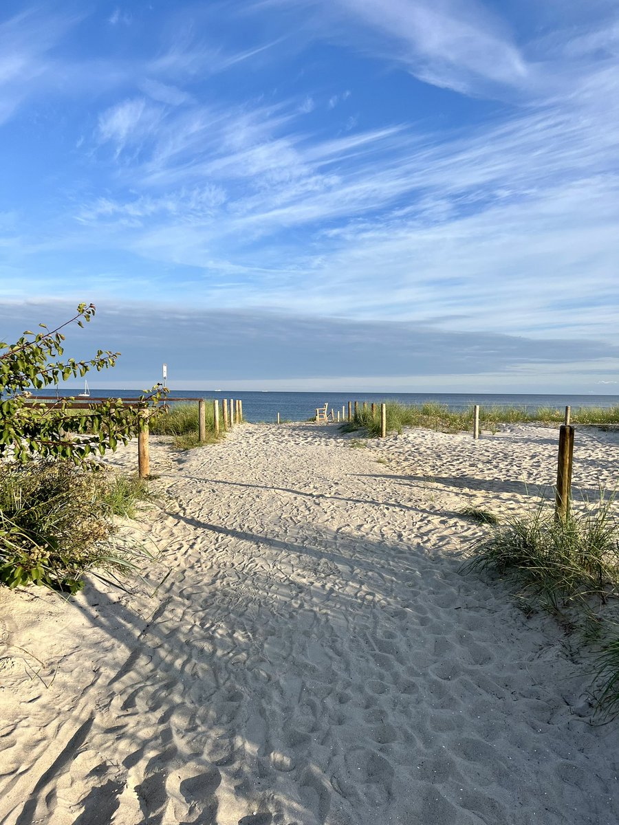 Guten Morgen vom Spaziergang. Ein Tag kann schlechter beginnen. Habt es gut alle.