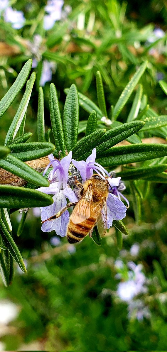 Jennie Stenhouse tweet media