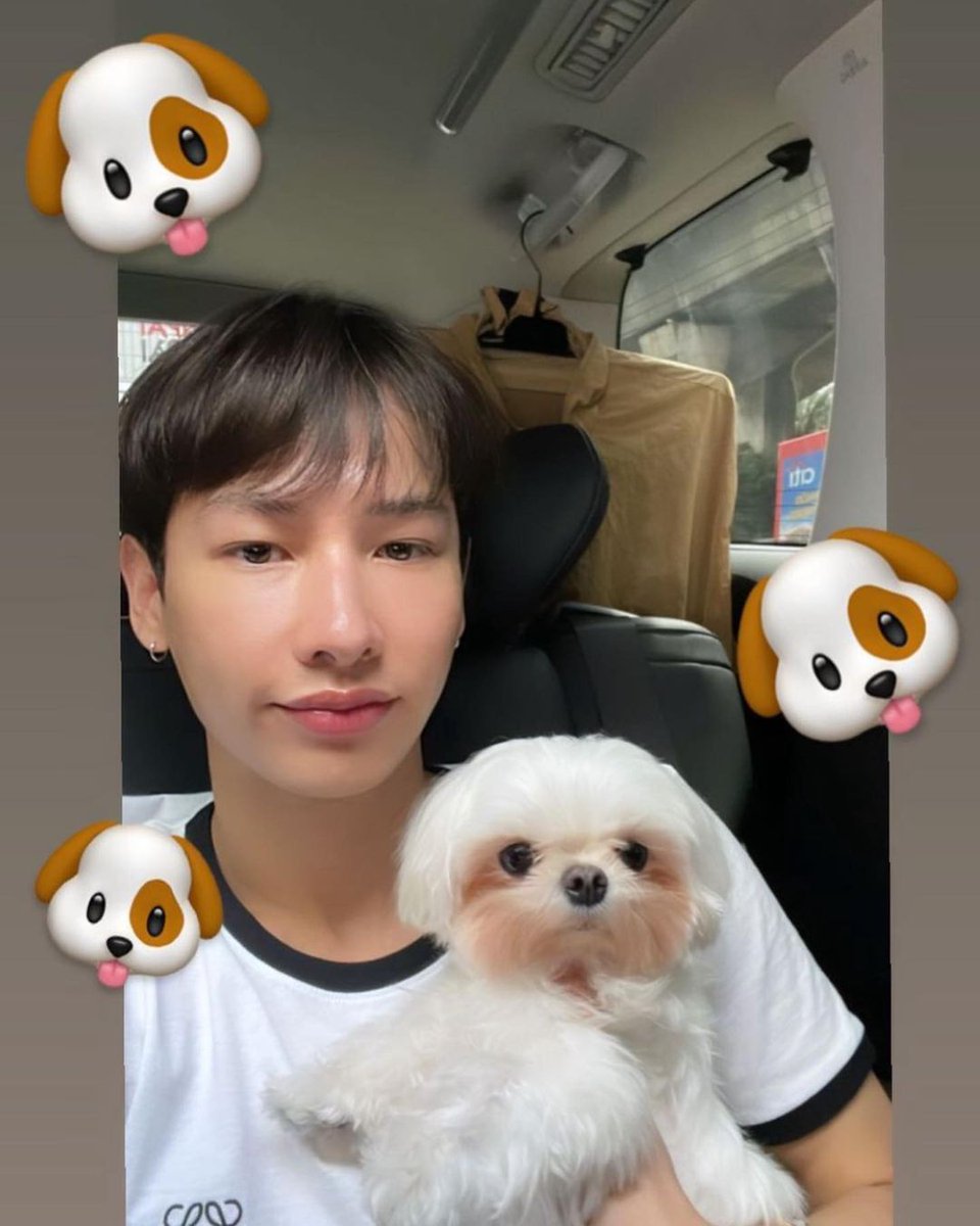 missyoualway_'s tweet photo. 030922 🥹🫶🏻 Working with dada
#บี่บี๋ #bibii #bibiifurbabe
#กันอรรถพันธ์น่ารักกว่าที่คิด
©️ bibi.furbabe https://t.co/4FMmLtBrxZ