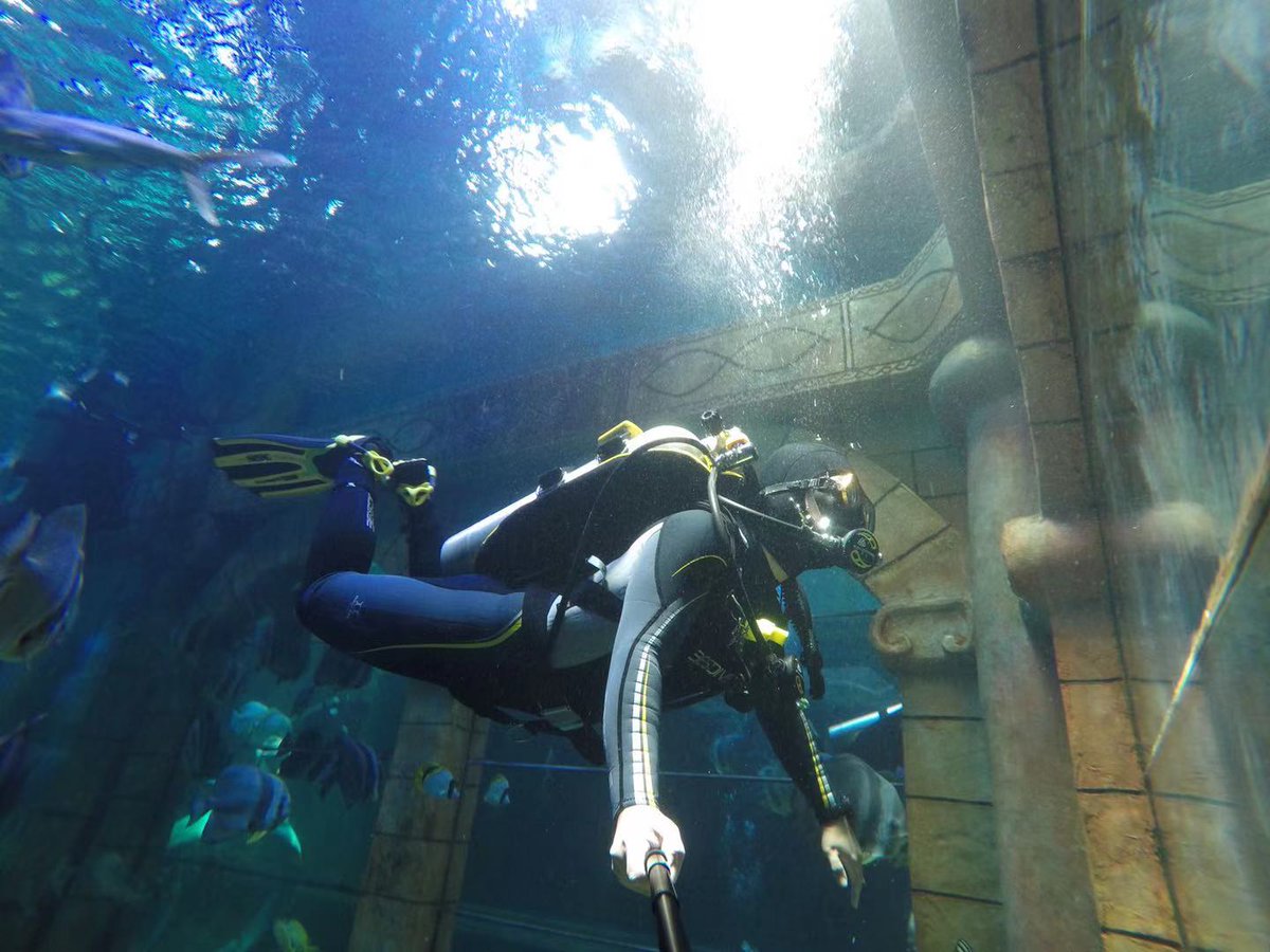 fishwolf2's tweet photo. myself in aquarium https://t.co/8fSPpmXM0K