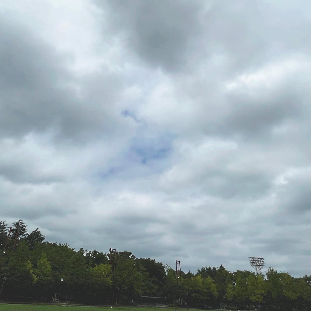 nadesign's tweet photo. 走るデザイナー
日差しなく、風もなく、湿度高め、結構キツい。
Today's #applemusic is #shogohamada
Ran 8.24 km with the #NRC
#adidas #adidasrunning #adizero #adizeroadiospro #JustDoIt #running #runner #runners #nikerunning #applewatch #beats #beatsfitpro https://t.co/R8djcAzgdA