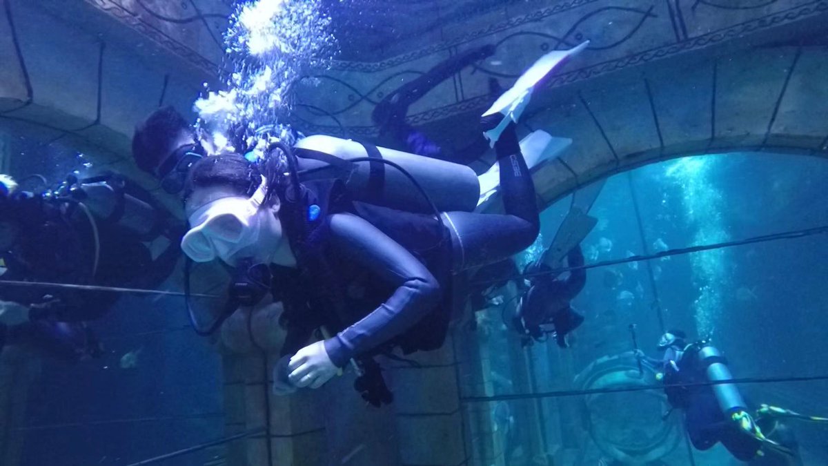 fishwolf2's tweet photo. dsd inaquarium https://t.co/d27vIyROKj