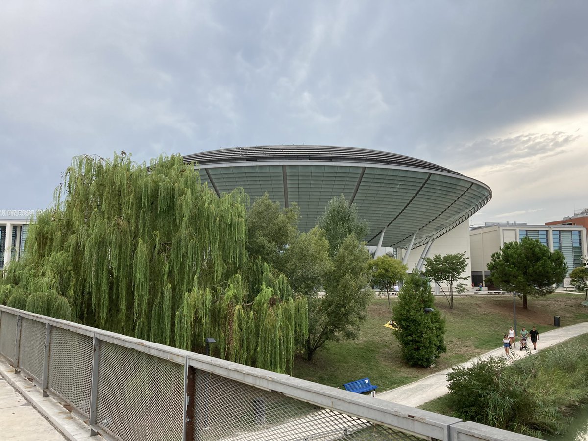 Selena Lockyer tweet media