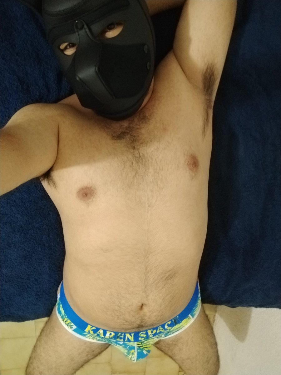 Buscando un dueño 🐶