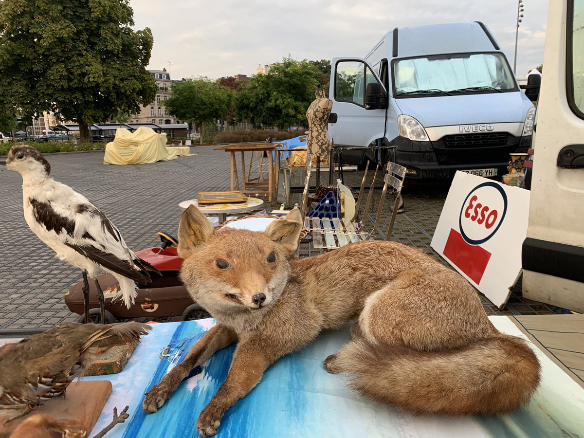 vu à la Braderie ce matin, <a href="/ESJLille/">ESJ Lille</a> vous n’avez pas osé ???