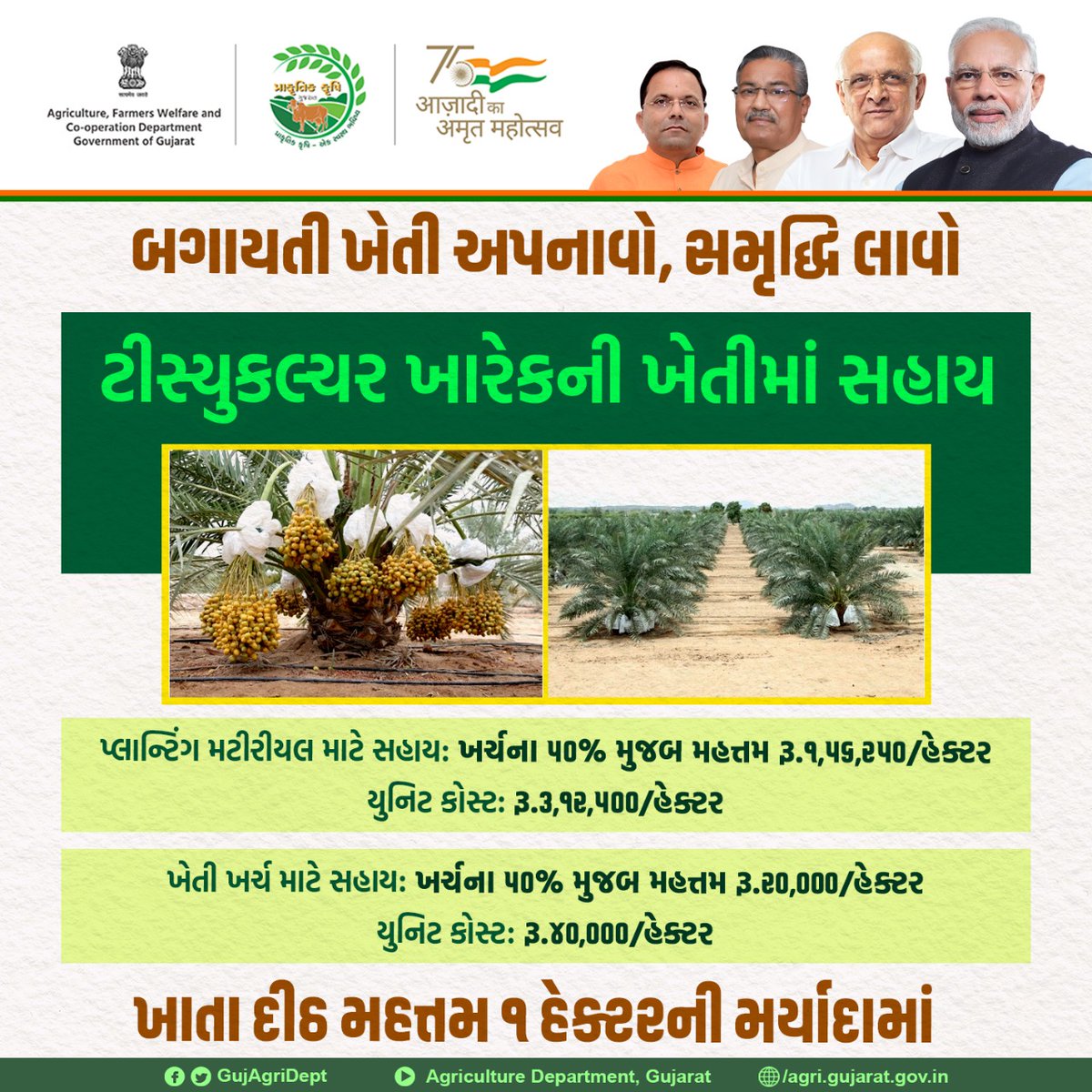 ગુજરાત બાગાયતી વિભાગ દ્વારા મળતી સહાયથી ટીસ્યુકલ્ચર ખારેકની ખેતી કરતા ધરતીપુત્રો યોજાનાનો મહત્તમ લાભ લઇ મલ્ટીક્રોપિંગ દ્વારા ધરતીના કણ કણ સાથે લોકોના સ્વાસ્થ્યને પણ પ્રફુલ્લિત કરી રહ્યાં છે.

લાભ લેવા માટે નોંધણી કરો
ikhedut.gujarat.gov.in