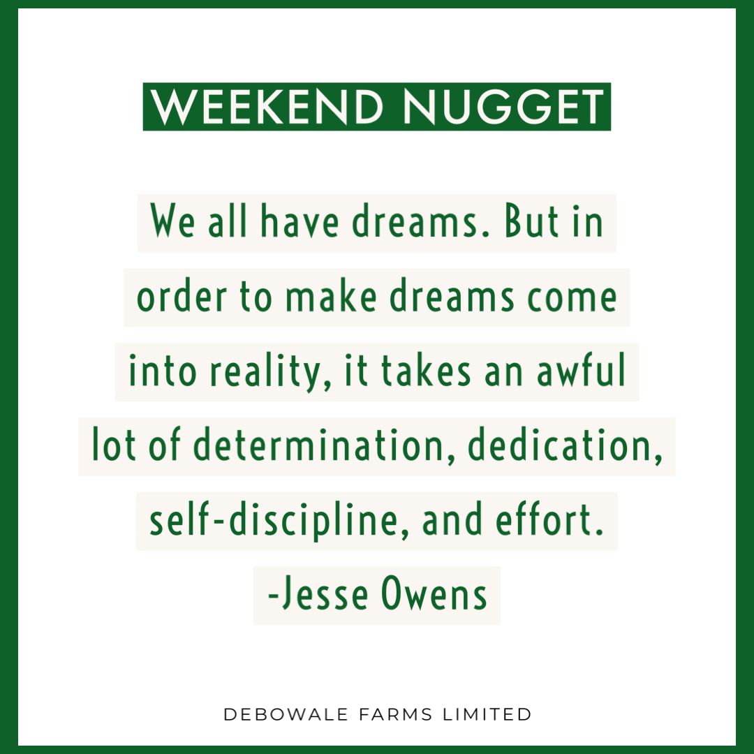 debowale_farms's tweet photo. #soillesfarming #soilfarming #poultryfarming #vegetablesfarming #greenhousefarming https://t.co/emMCnOSJbo