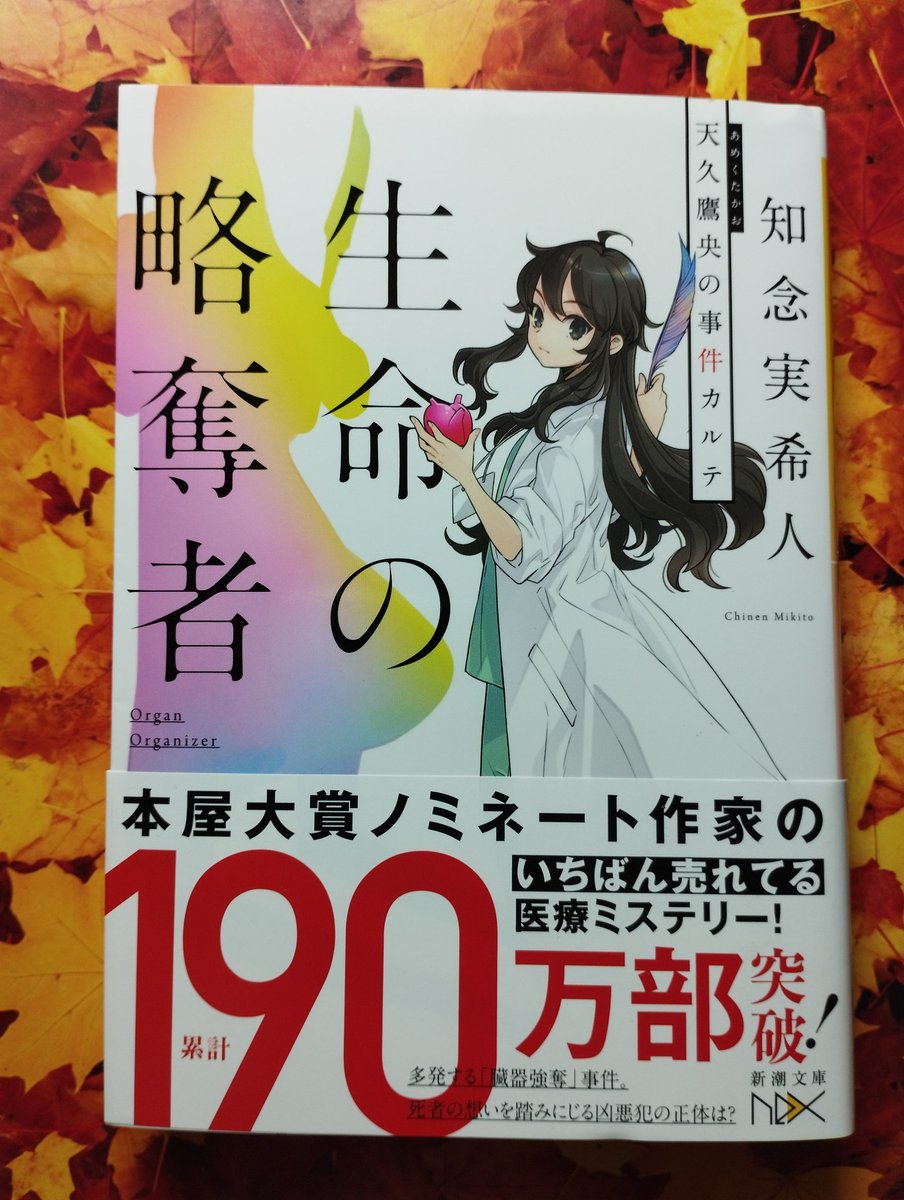 undo774 tweet picture