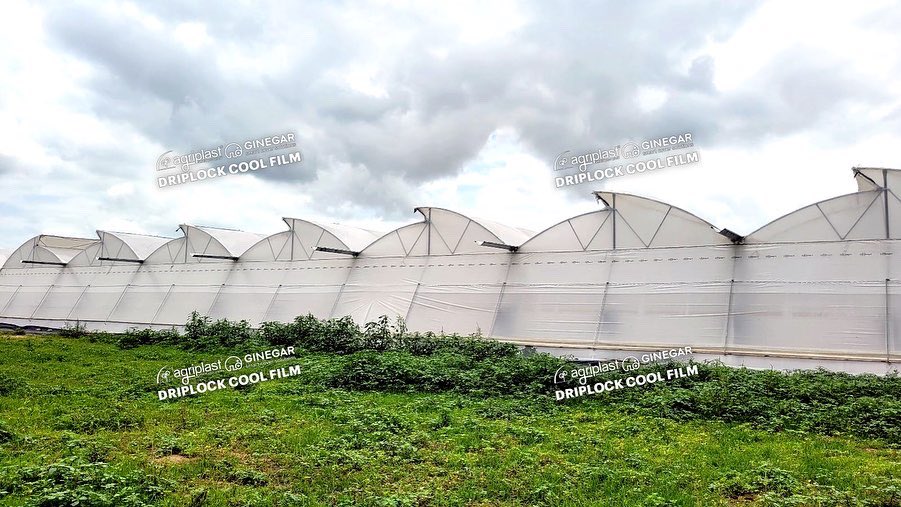 Agriplast Tech India Pvt Ltd tweet media